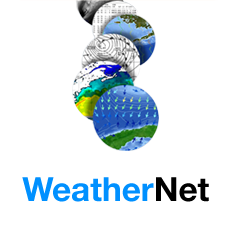 easy weather download software